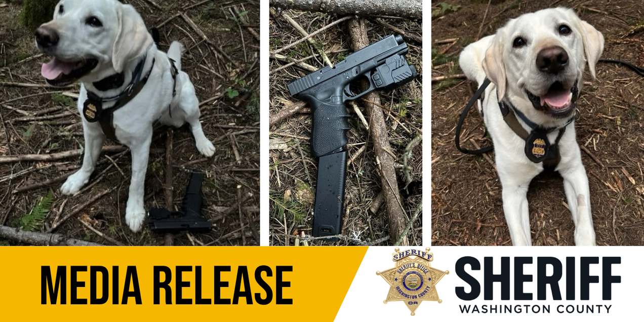 Parcel Detectives Detectives Investigating Shooting at Rural Hillsboro Property ...