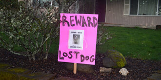 Lost pet yard sign