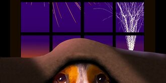 Dog eyes peeking out from under the covers. Fireworks in the background.