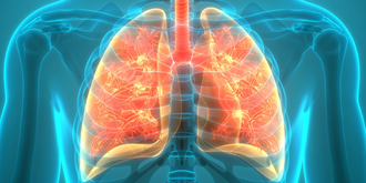 A visual representation of the lungs, with inside glowing orange. Courtesy CDC. 