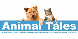 Animal Tales Newsletter masthead
