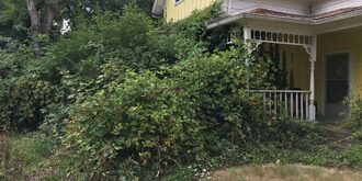 Plants and shrubs grow wildly at a house