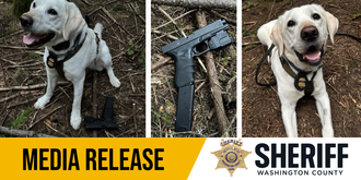 Media Release Graphic 