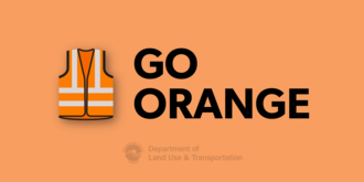 Go Orange Day Graphic