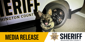 Media Release Graphic 