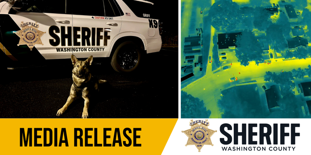 Media Release Graphic 