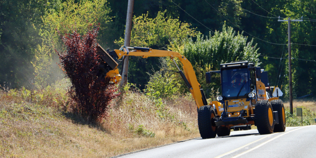 LUT OPS Web Image - Vegetation
