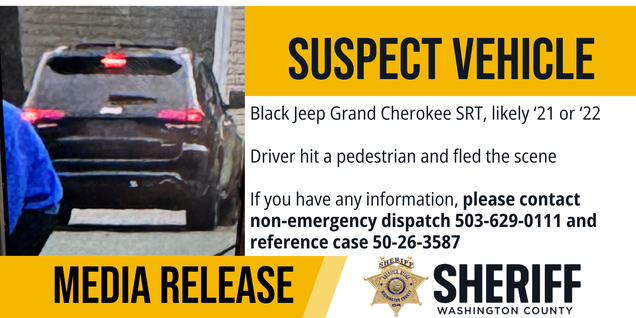 Graphic showing hit and run suspect vehicle
