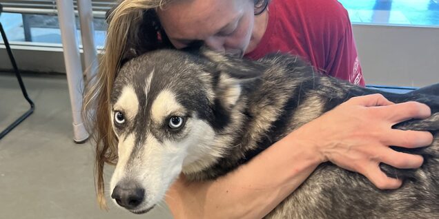 Woman hugging and holding onto a Husky dog
