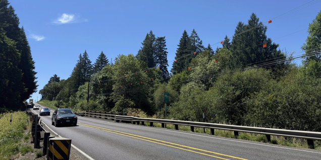Cornelius Pass Bridge - July 2026
