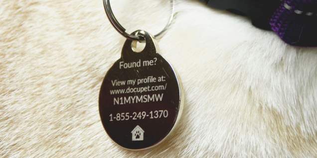 Dog tag attached to a dog collar with text that says, "Found me? View my profile at: www.docupet.com/N1MyMSMW 1-855-249-1370"