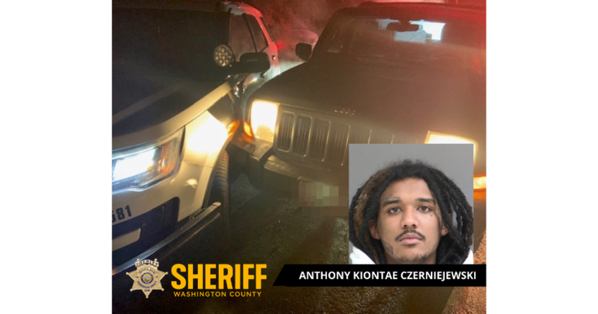 Driver Rames Driver Rams Patrol Car, Injures Deputy While Attempting to Flee ...