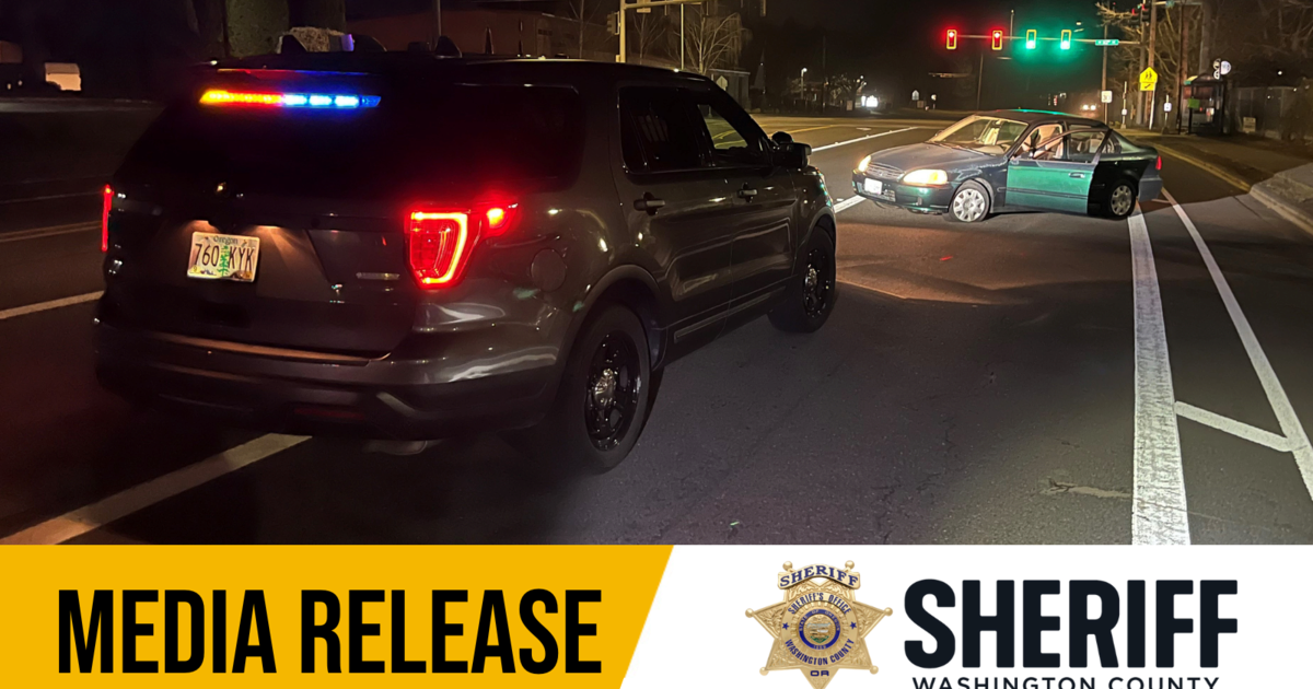Driver Arrested for Multiple Crimes After Fleeing From a Traffic Stop ...