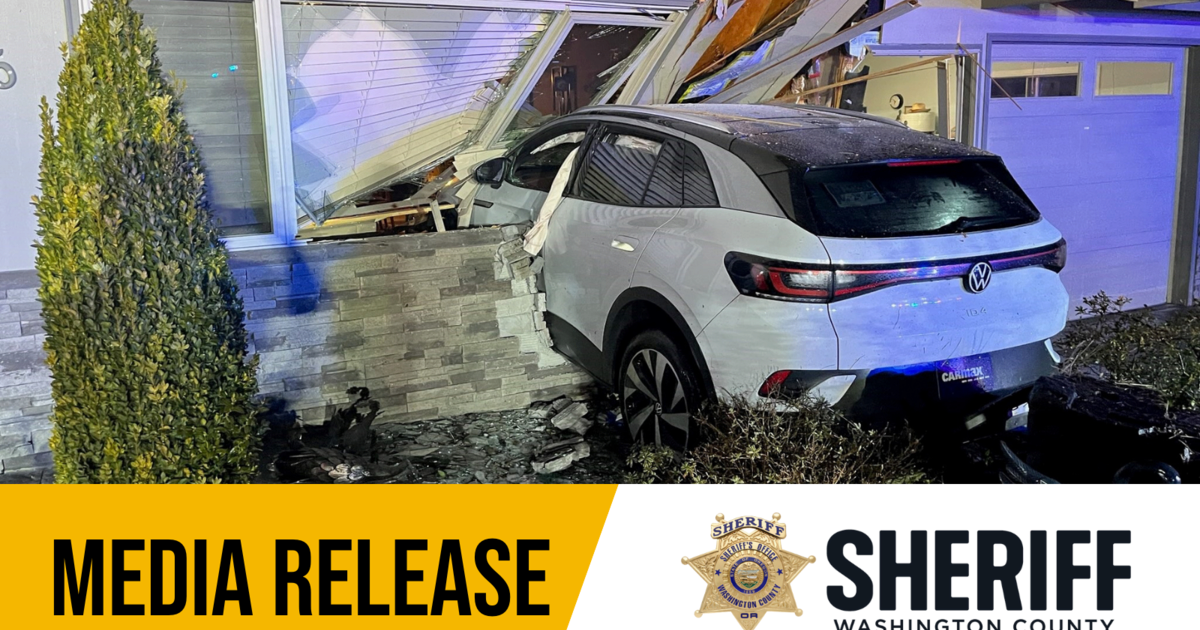 K9 Track Locates Suspect Who Ran After Crashing into a Residence ...