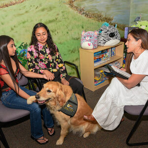 Expanded victims’ assistance and emergency programs for families harmed by domestic violence, as well as expanded programs to prevent domestic violence in the first place