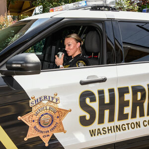 Investigating and prosecuting crimes like theft, car theft, break-ins and graffiti