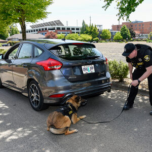 Investigating and prosecuting crimes like theft, car theft, break-ins and graffiti