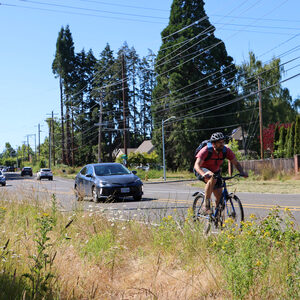 Walker Road between 173rd and 185th avenues