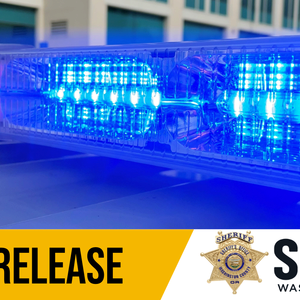 Media Release Graphic 