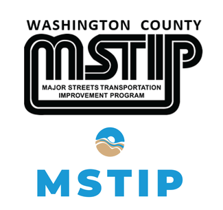 MSTIP 40 - Old Logo