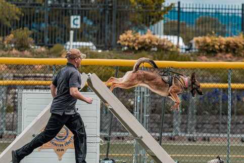 Cpl Akin with K9 Puddles at 2025 K9 Trials