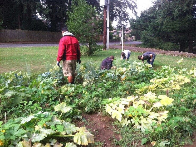 community garden