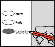 Filling in the oval and write-in vote