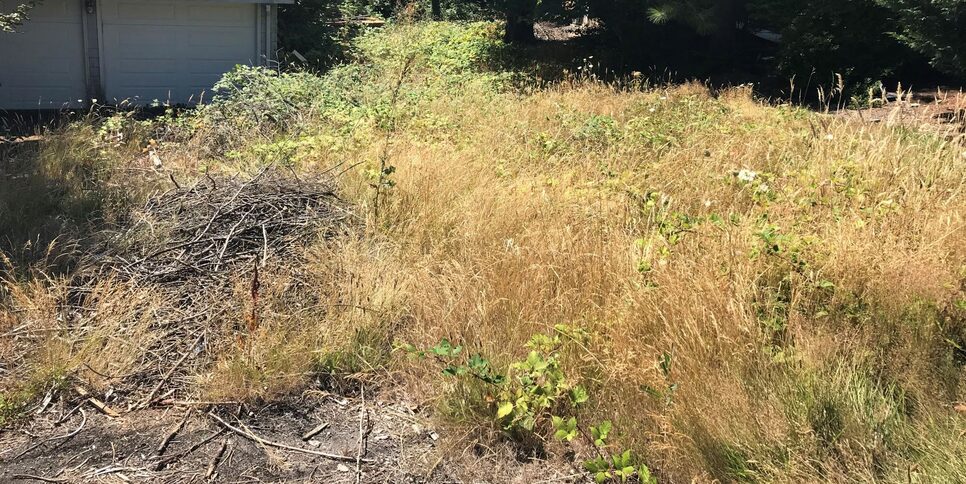 Dry grass hazard