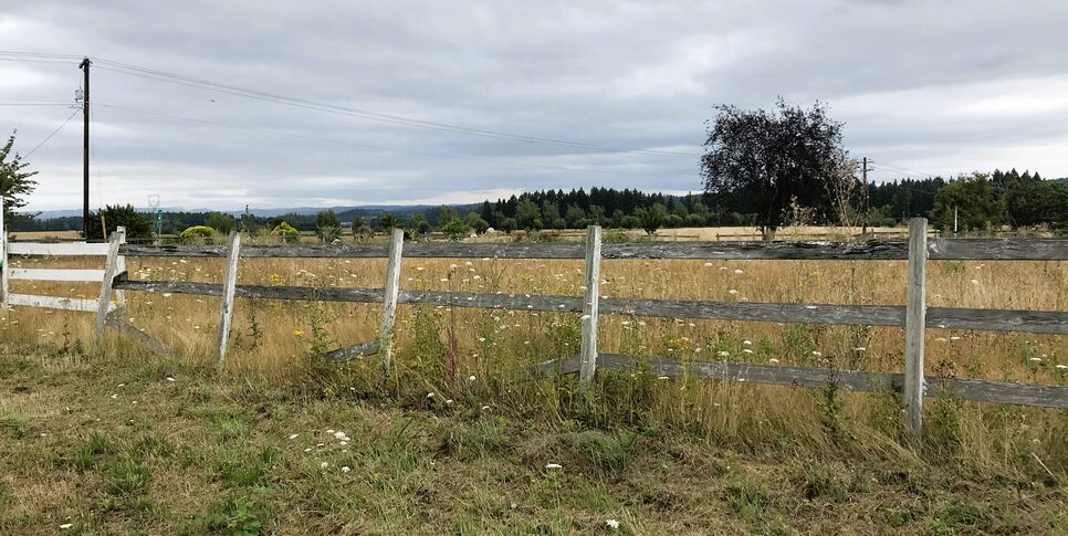 long grass and picket fence in a big field